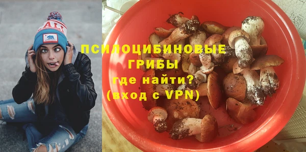 ALPHA-PVP Алексеевка